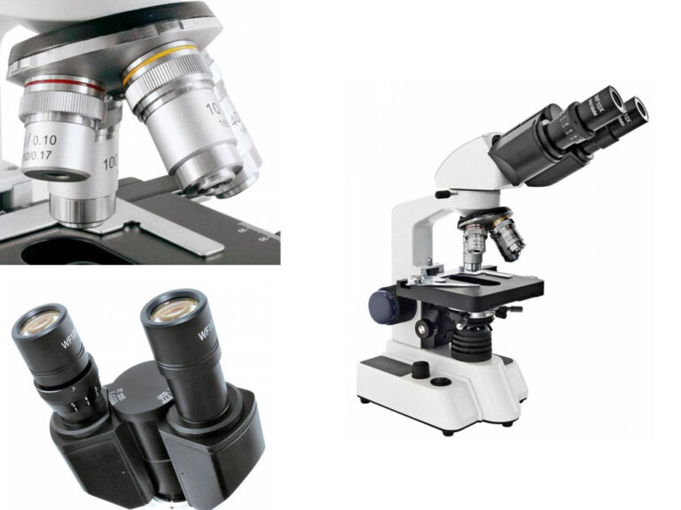 Lees meer over het artikel Instellen binoculaire (en trinoculaire) microscoop