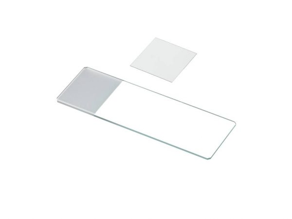 Set objectglazen (50st) met dekglazen (100st) (boro 3.3)